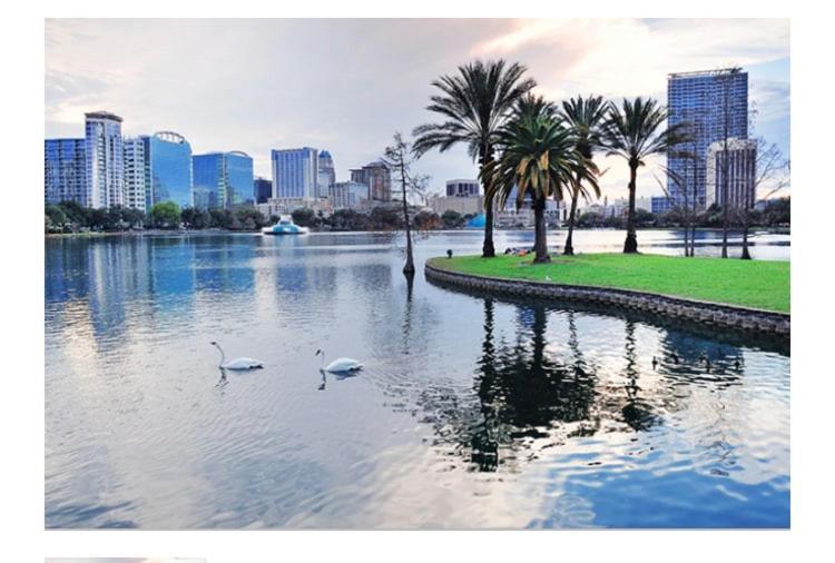 College Park-Orlando 5Star Villa Oasis - Home Away From Home - Quiet Neighborhood-Private Botanical Courtyard - Mins From Eola,Dt, Winter Park - Free Parking & Ev Plug In 外观 照片